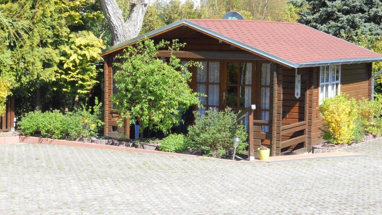 Pension Mittag Heringsdorf  Exteriör bild