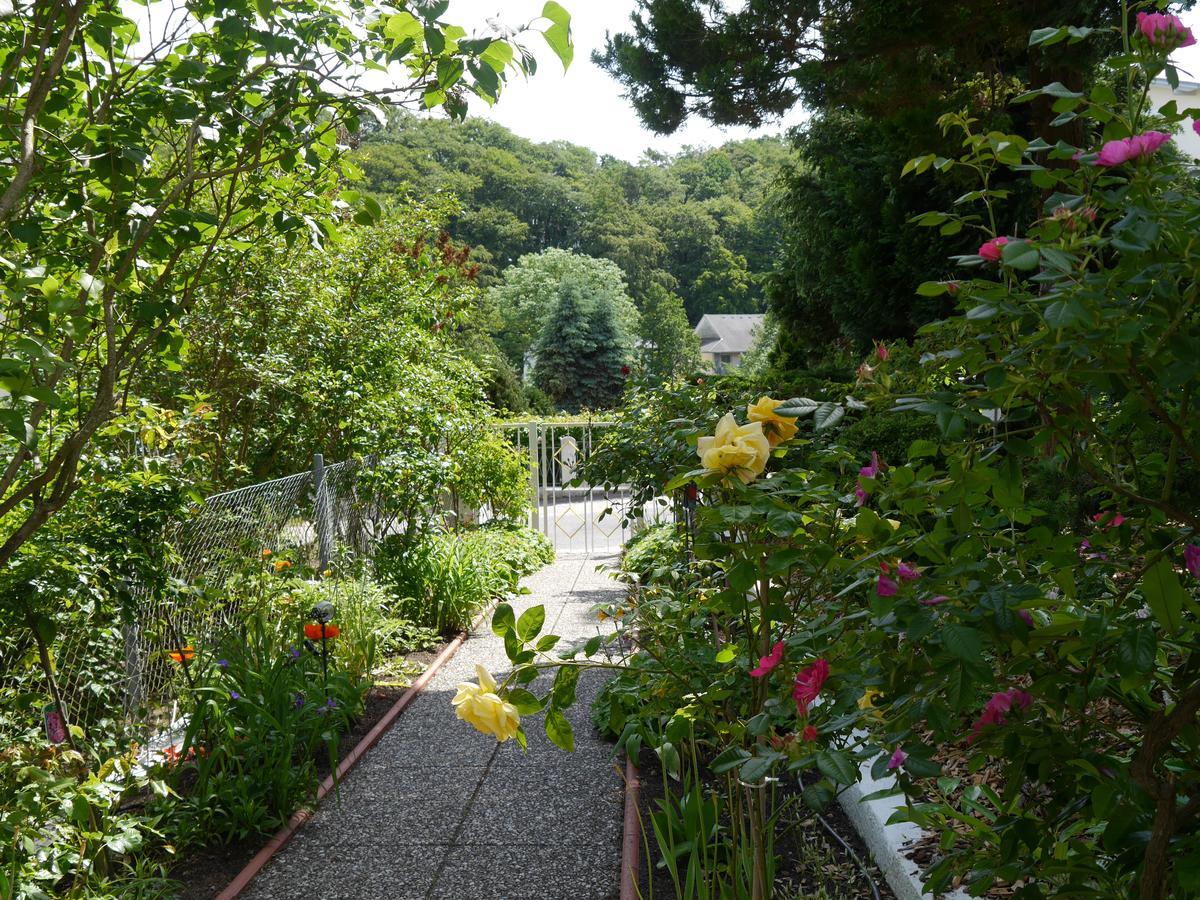 Pension Mittag Heringsdorf  Exteriör bild